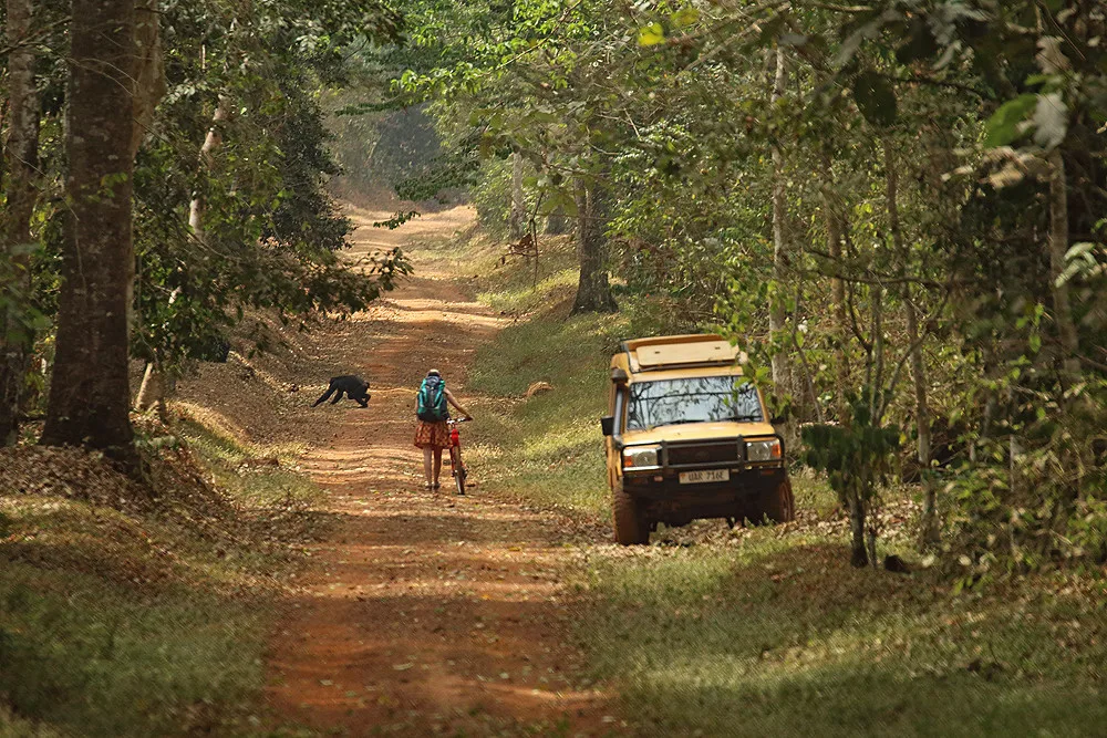 Safari Destinations in Uganda