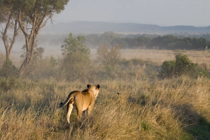 wildlife areas in kenya